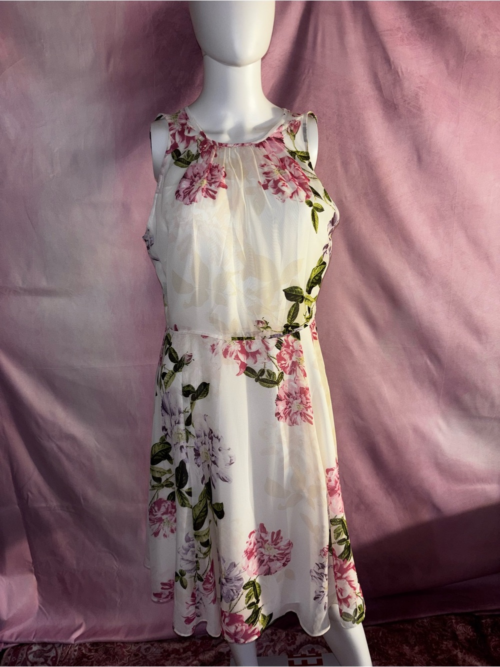 Ann Taylor Pink Floral Sleeveless Fit-and-Flare Dress on Cream